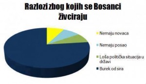 bosanci ljuti]